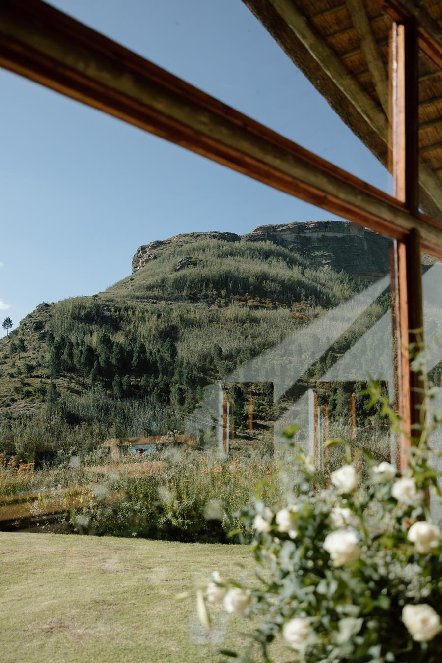 Mountain and garden at Wyndford seen through a wooden window, with white flowers in the foreground