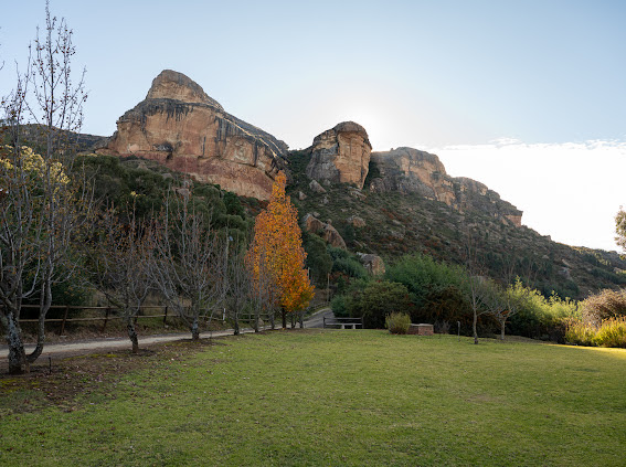 Sandstone cliffs above Wyndford’s lawn and trees, with a garden bench below