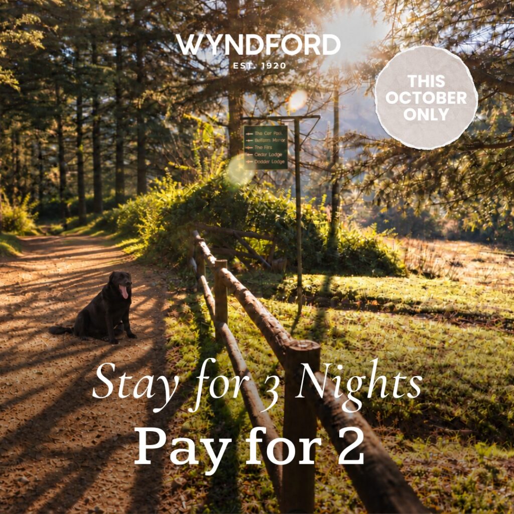 Wyndford October special: stay for 3 nights and pay for 2, available this October only.