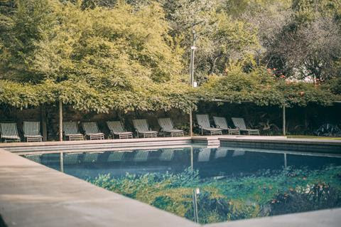 Wyndford’s outdoor swimming pool surrounded by trees and loungers