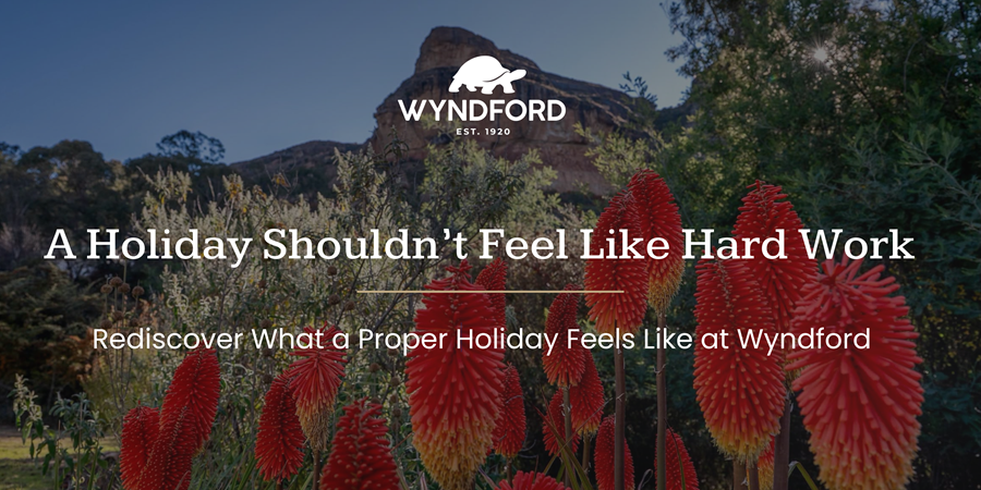 A Holiday Shouldn’t Feel Like Hard Work: Wyndford newsletter cover with red flowers and sandstone mountains